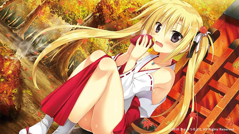 https://images.yurari.moe/galgame/10014/p1a1xdyc_2.jpg