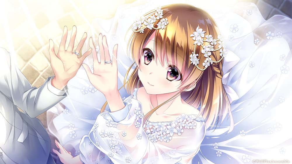 https://images.yurari.moe/galgame/10209/veff77hr_2.jpg