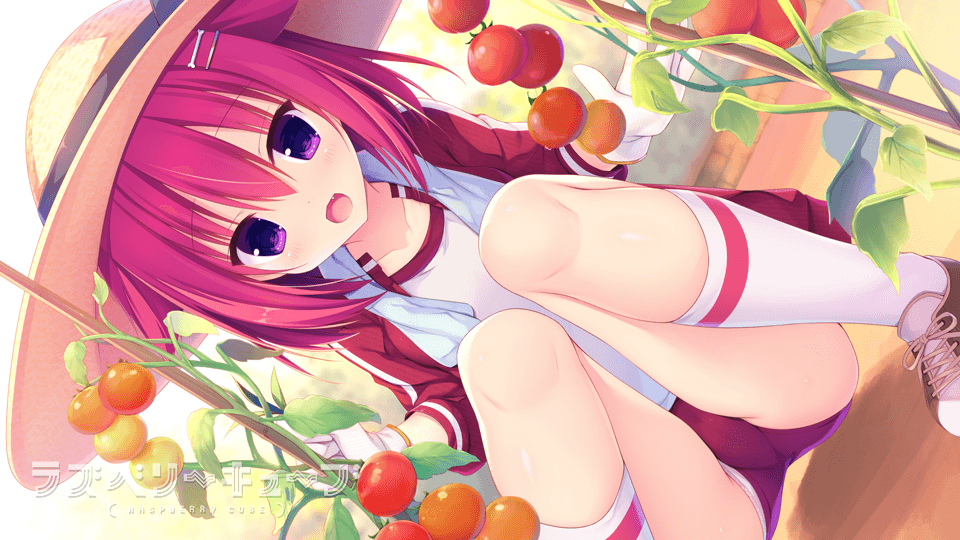 https://images.yurari.moe/galgame/10880/xdwxd5g4_2.png