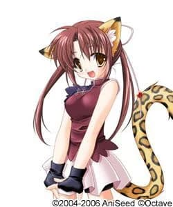 Mio