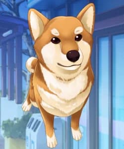 Kotarou