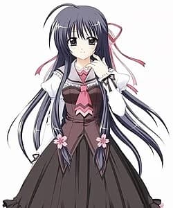 Akita Komachi