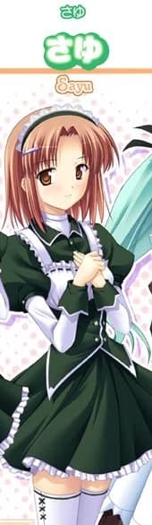 さゆ