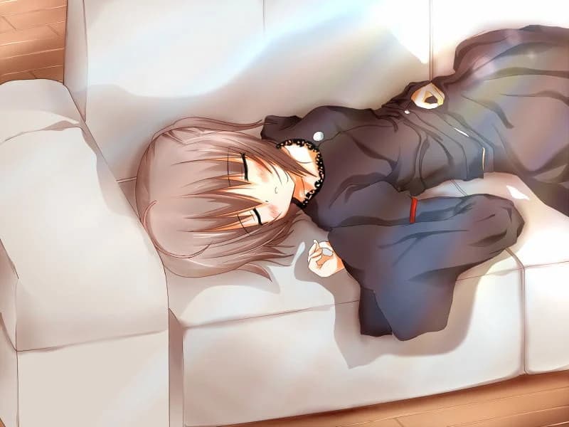 https://images.yurari.moe/images/37a76284-ea4f-4c70-b337-50dc66b6f452.webp