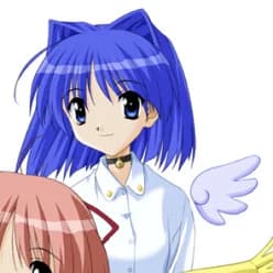 Aoi