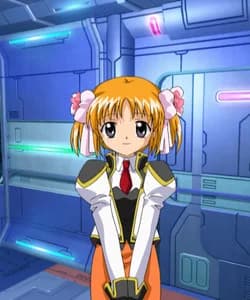 Apricot Sakuraba