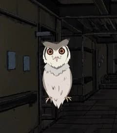 Shuko