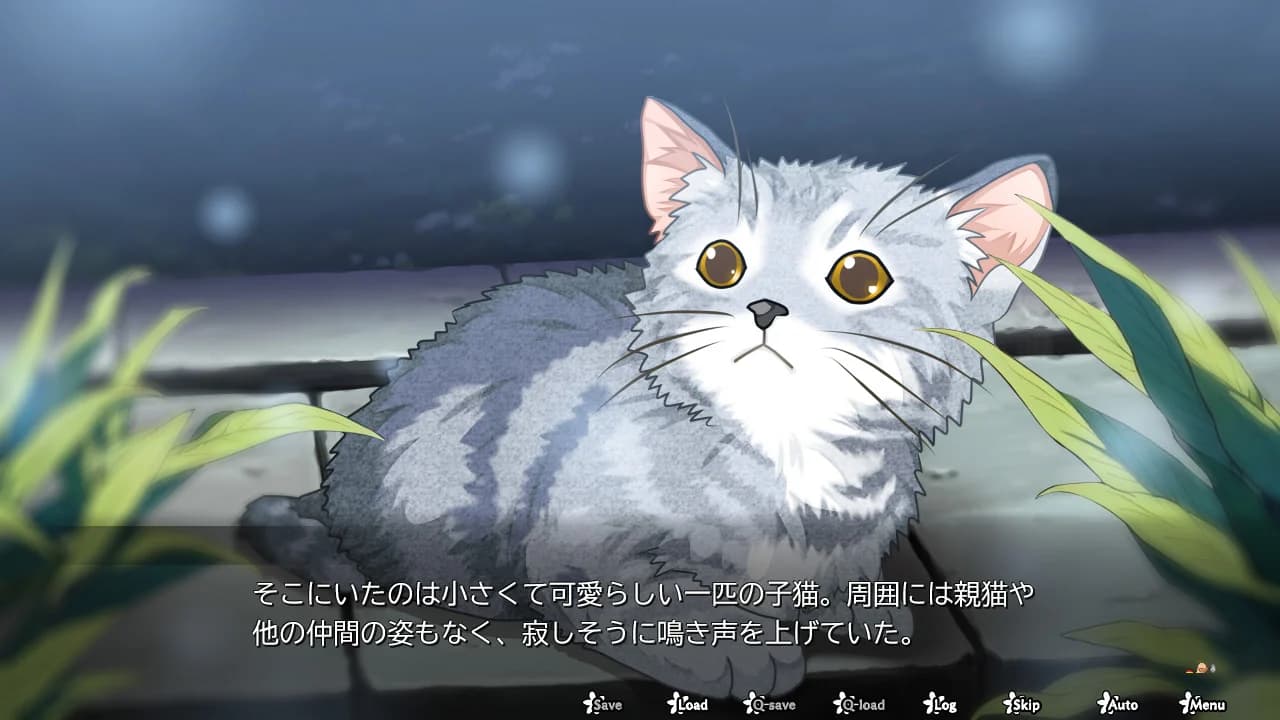 https://images.yurari.moe/images/74b2b584-8ffa-44f6-aad0-40f70500a8df.webp