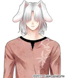 Usagi-san
