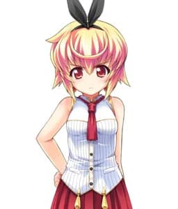 Kororoko Swallow