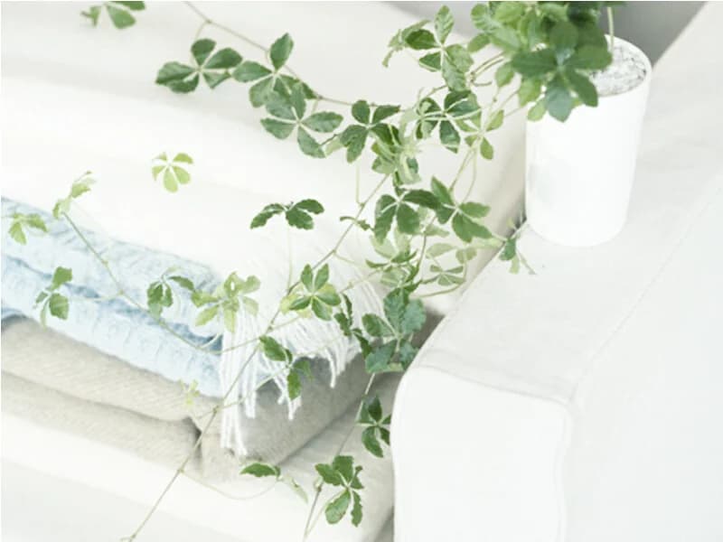 https://images.yurari.moe/images/967f731c-2bfc-4678-b975-05895213b75e.webp