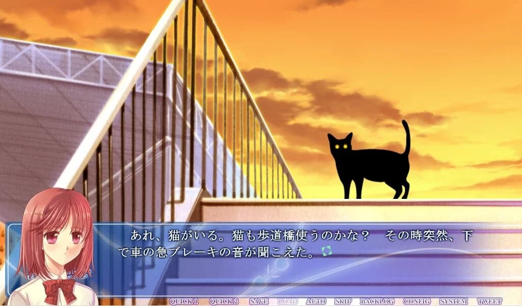 https://images.yurari.moe/images/a20fbc74-a783-4900-9cf8-d98ff8d9f24d.webp