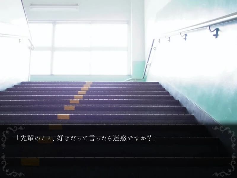 https://images.yurari.moe/images/a382c928-0425-487a-a42e-83fe85e4fede.webp