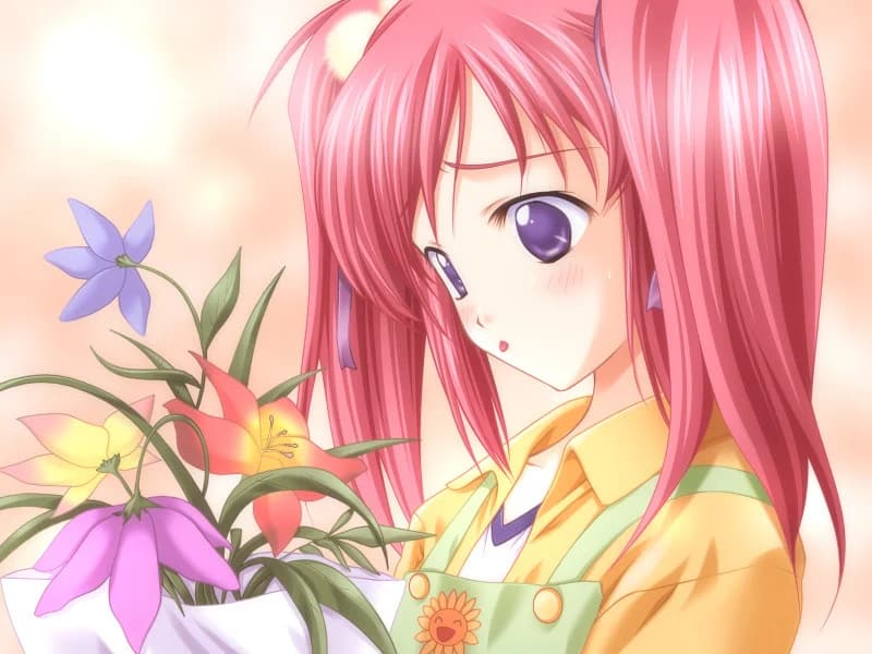 https://images.yurari.moe/images/a7f81481-4c6b-4fc4-b5b8-202270da0347.webp