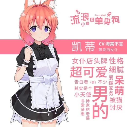 凯蒂