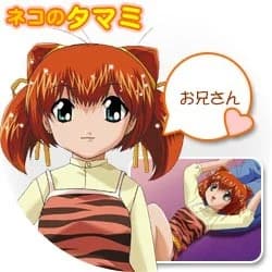 Neko no Tamami