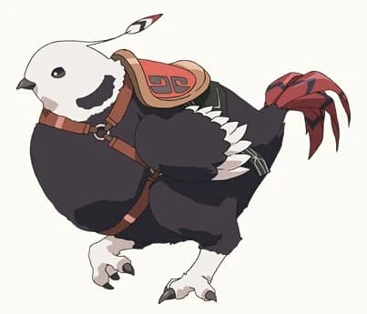 ココポ