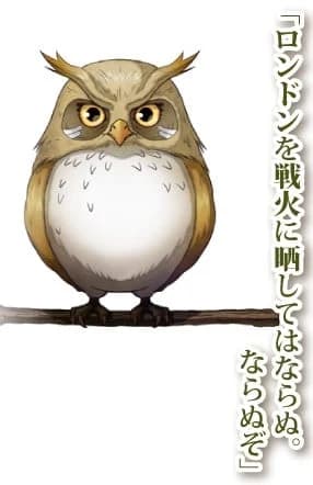 フクロウ