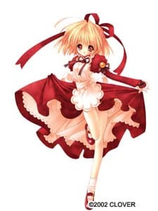 Stella Arista