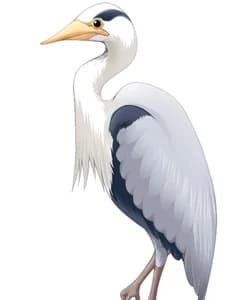 Toki