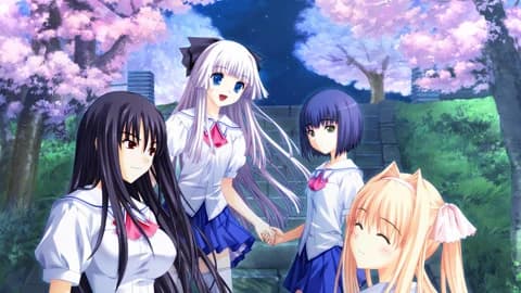 https://images.yurari.moe/images/f455453a-7a93-4fdd-a27c-d047fc9df195.webp