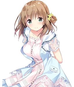 Nitta Shinobu