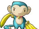 Saru (Ki)