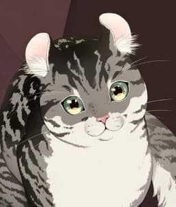 Stray Cat