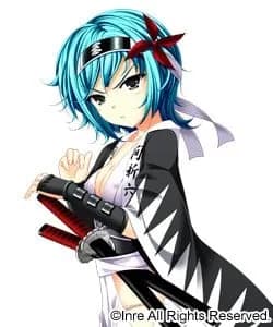 Hazama Shinroku