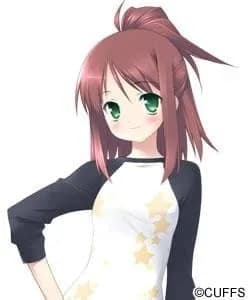 Hoshino Erika