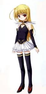 Fiacca Marguerite