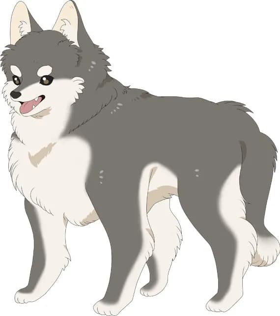 犬