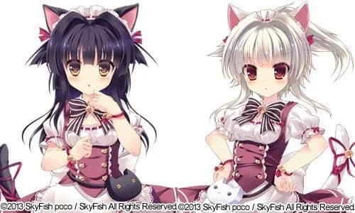 Nekokawa Ameri