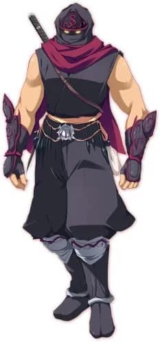 Ninja Touryou