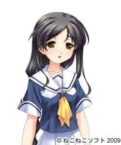 Shintani Risamisa