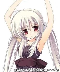 Torii Karin