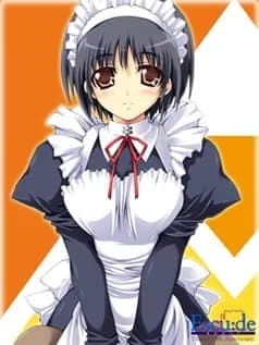 Maid