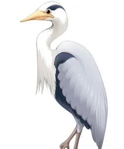 Toki