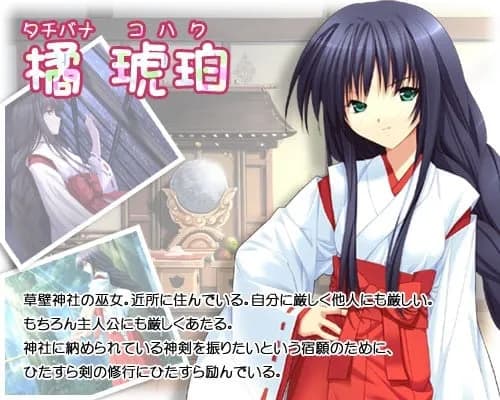 Tachibana Kohaku