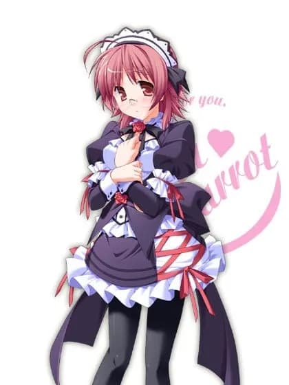 Kurosu Misaki