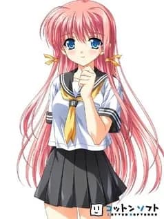 Hayakawa Natsuo