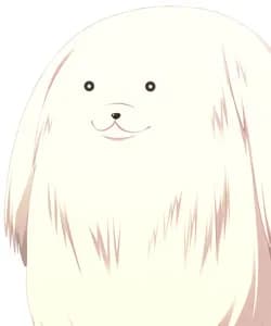 Kuu