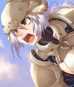 Woman Knight