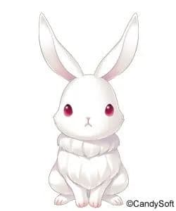 Yuki