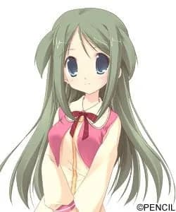 八鹿マツ