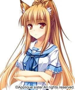 Miyama Kon