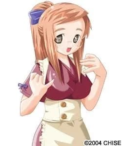 Inui Tsugumi