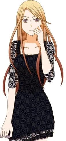 和泉花
