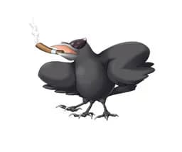 Raven