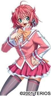 Sakisaka Tsubomi